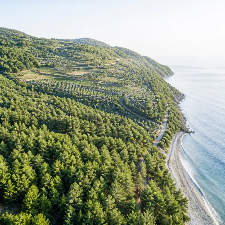 How HVD Hotels’ corporate structure and market intelligence shape Black Sea hospitality strategy